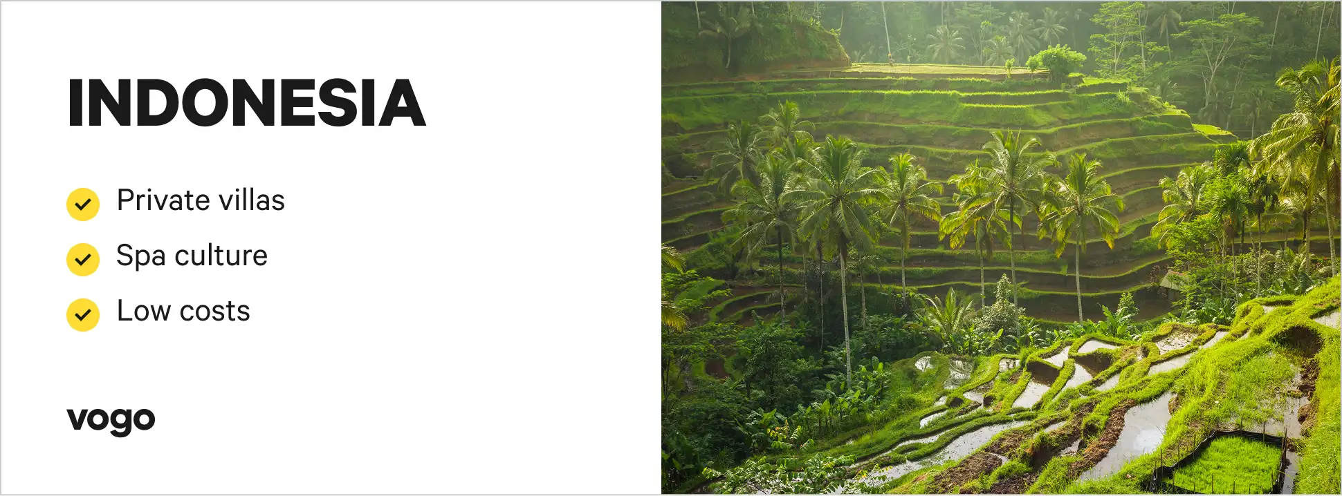 Green jungle landscape in Indonesia.