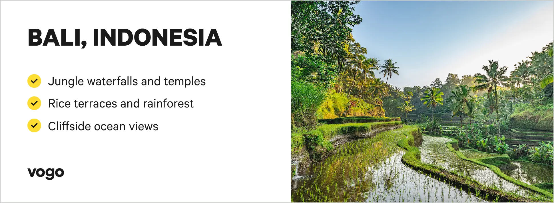 Lush jungle and rice terraces in Bali, Indonesia. 